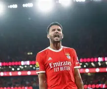 包含亚冠冲刺阶段走向成谜，本菲卡调整名单，目标明确，团队化学反应显著的词条