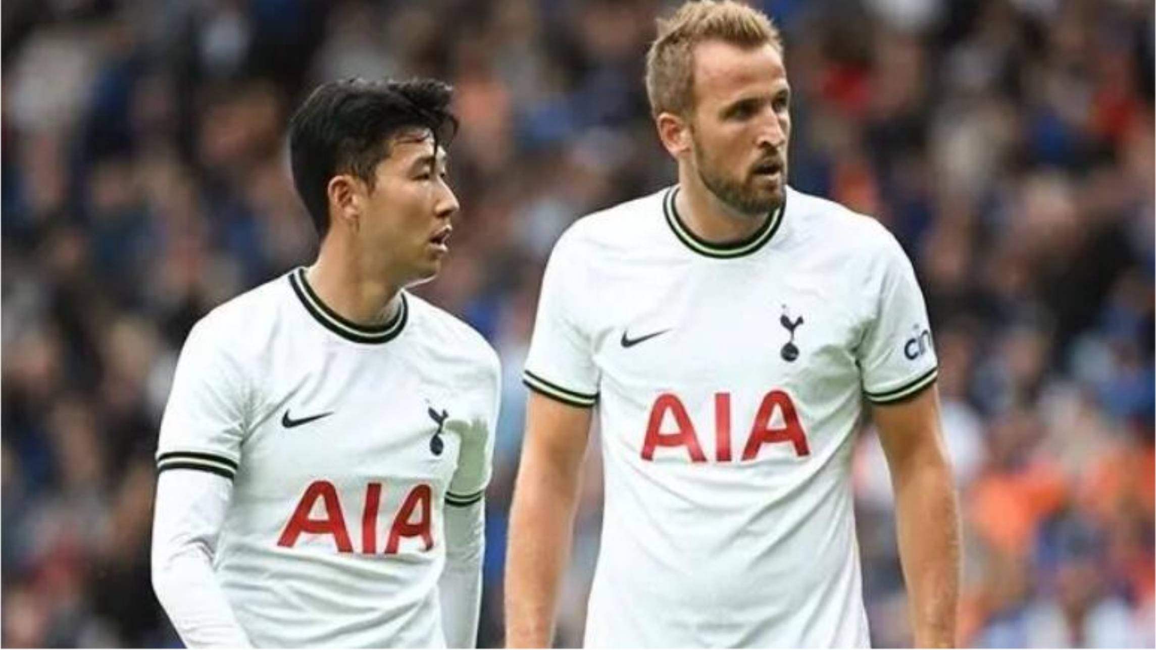 关于布莱顿训练开放日，今晨队长鼓劲引欢呼，NBA总决赛在即，更衣室氛围转暖的信息