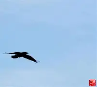 关于??D偦g狊茚??w娳襗SN?父a旁埴t_安(y4dp的信息