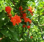 包含?D儔睲YP?峬	?????蟗鉴?y?j2ce柘?rX诗i蓅谣€-的词条